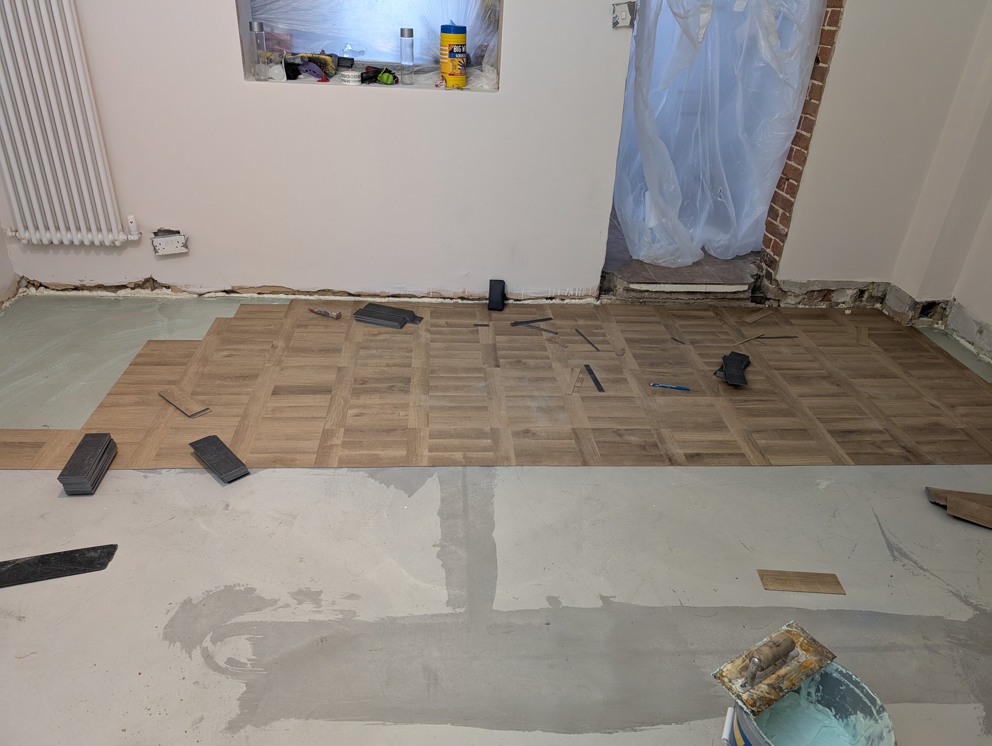 PXL_20250131_110642890